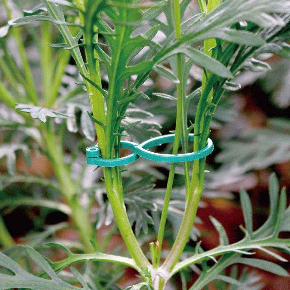 10-300 Pcs Garden Plant Twist Clip Ties Supports Vegetable New Tomato Growing Connects Protection Grafting Fixing Tool