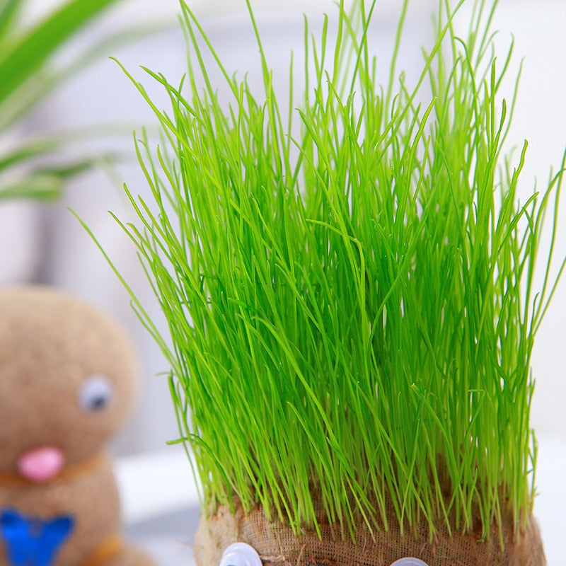 Grass Head Room Decor Home Decoration Small Growing Grass Doll Plant Beautiful Children Gift Indoor Balcony Baby Pot Planters