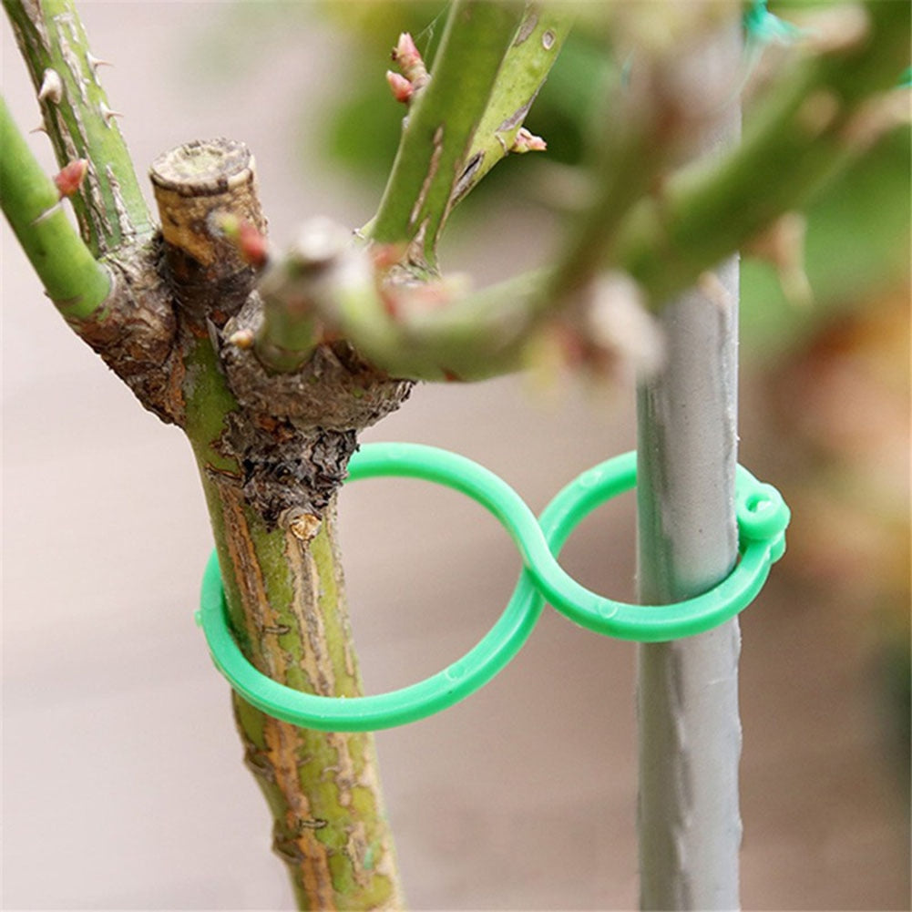 10-300 Pcs Garden Plant Twist Clip Ties Supports Vegetable New Tomato Growing Connects Protection Grafting Fixing Tool